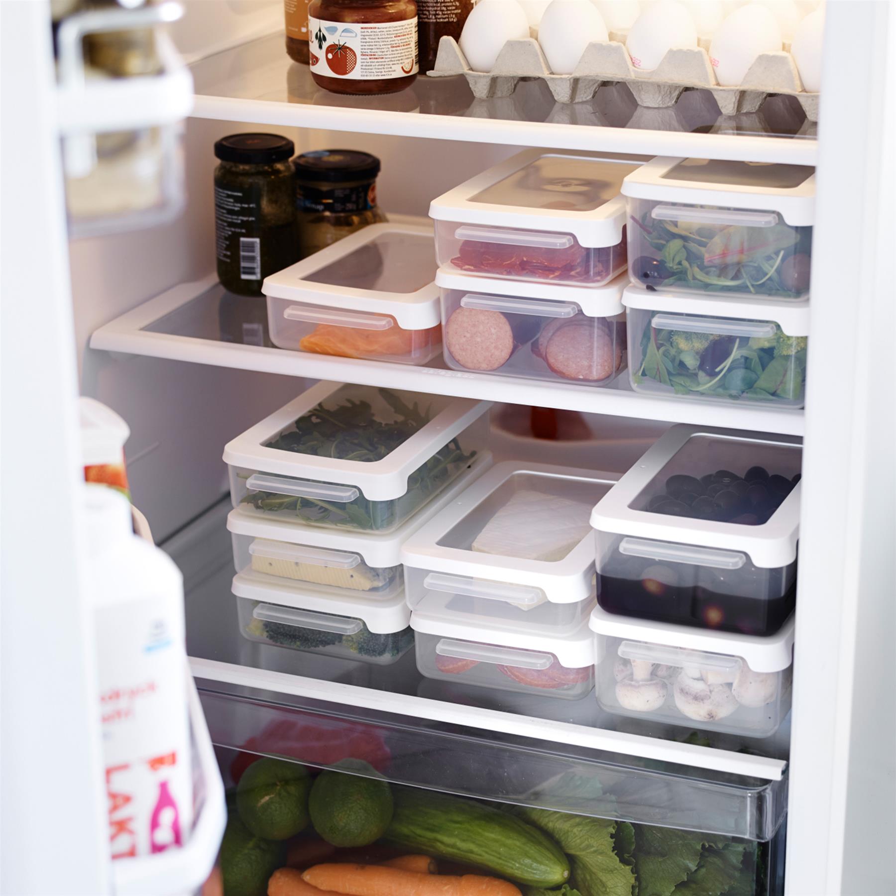 Airtight Food Storage Container - 0.6 Litre