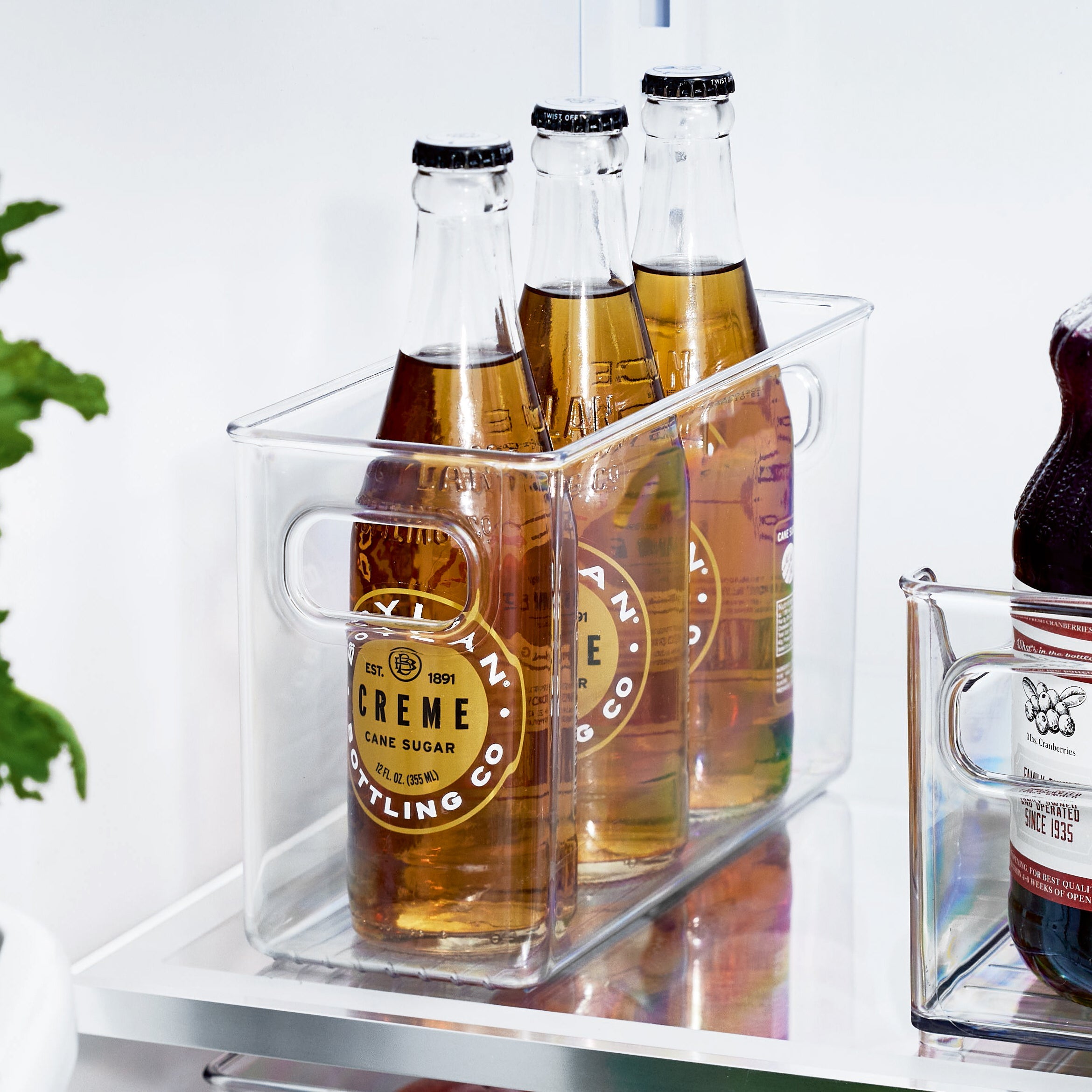 Fridge And Pantry Storage Container Slim